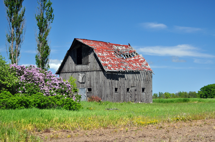 barn